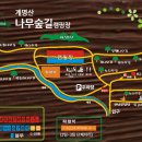 나무다캠핑장 이미지