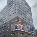 1161 | 홍콩 2박3일 숙소 더솔즈베리 YMCA 홍콩 스탠다드룸 시티뷰 1161호 성인 2인 후기