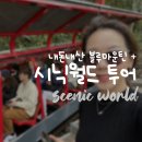 25시종합카월드 | 시닉월드 블루마운틴 투어 동물원 없이 집중 후기