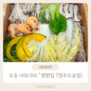 오송맛집 편편집 샤브샤브 무한리필 편백찜 청주 조치원 맛집 후기