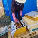 인우농장 이미지