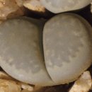 규암농장 이미지