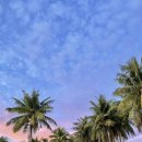 오딧세이호텔 이미지