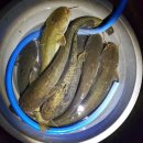 비상낚시터 이미지