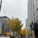 피트니스 127 | 강남 프리미엄 피트니스 웰앤피트니스 후기｜골프·사우나까지 되는 언주역 헬스장