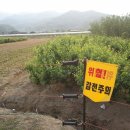 일년농사