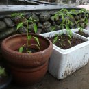 이정복농장 이미지