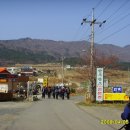 일송목장 이미지