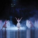 양방언 Evolution 2021 이미지