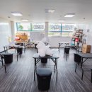 나의 반려견 이미지