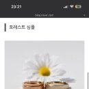데시아 네이버블로그