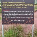 좌천마을회관 이미지