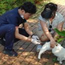 성산구 ⓒ-27 이미지