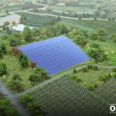 어울림 태양광발전소 이미지