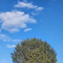 허준박물관 입춘첩 행사 | 와 재밌다! 컨텐츠 천국 국립민속박물관 관람 후기(모두의 잔치, 한국인의 일년, 한국인의 생애)