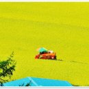 건천목장 이미지