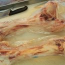 참한우2호 이미지