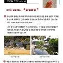 알품는 마을