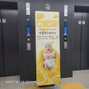 롤리팝스튜디오 | 송도 아기사진 잘 찍는 곳, 세돌 기념 사진 찍고온 어릴적스튜디오 후기