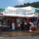 인삼창