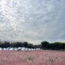 안젤라농장 | [방문기록] 아그로랜드 태신목장 / 4년 만에 재방문, 영업시간, 이용요금, 꿀팁