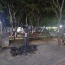 퀸스로드공원 이미지
