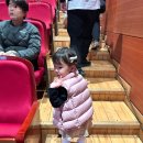 쥬씨송