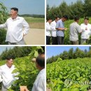 평남목장 이미지