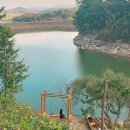 스테이 사이 이미지