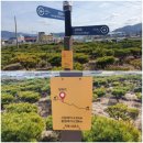 성포농장 이미지