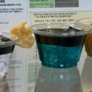 볼라드커피