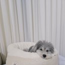 보듬보듬 이미지