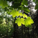 오월유통 이미지