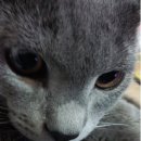 수도119군포점 이미지