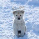 올림픽골프아카데미 이미지