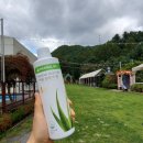 포레스트펜션 이미지