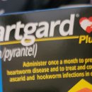 김대진동물병원 이미지