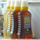 대송면 홍계숲 이미지