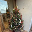 산도브레이크노동조합 | [경주나들이] 경주 황리단길 맛집 루트 | 이치니산도·황남두꺼비·홀림목 수플레 내돈내산 솔직후기