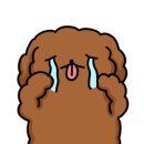 박대박맛집 이미지