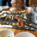 삼막풍천장어