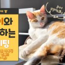 묭 뷰티