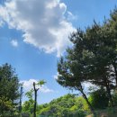 (주)라비돌 네이버블로그