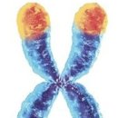 과학이야기1 이미지