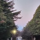 여주-0959 | 한달살기 14일차 -삿포로-