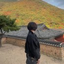 태양회수산센터