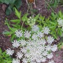 당산행정사사무소 이미지