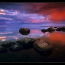 판교행정사 이미지