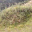 영주주유소 이미지