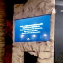참포도나무기획 - 천안시 동남구 천안여상로 19 | 참포도나무기획